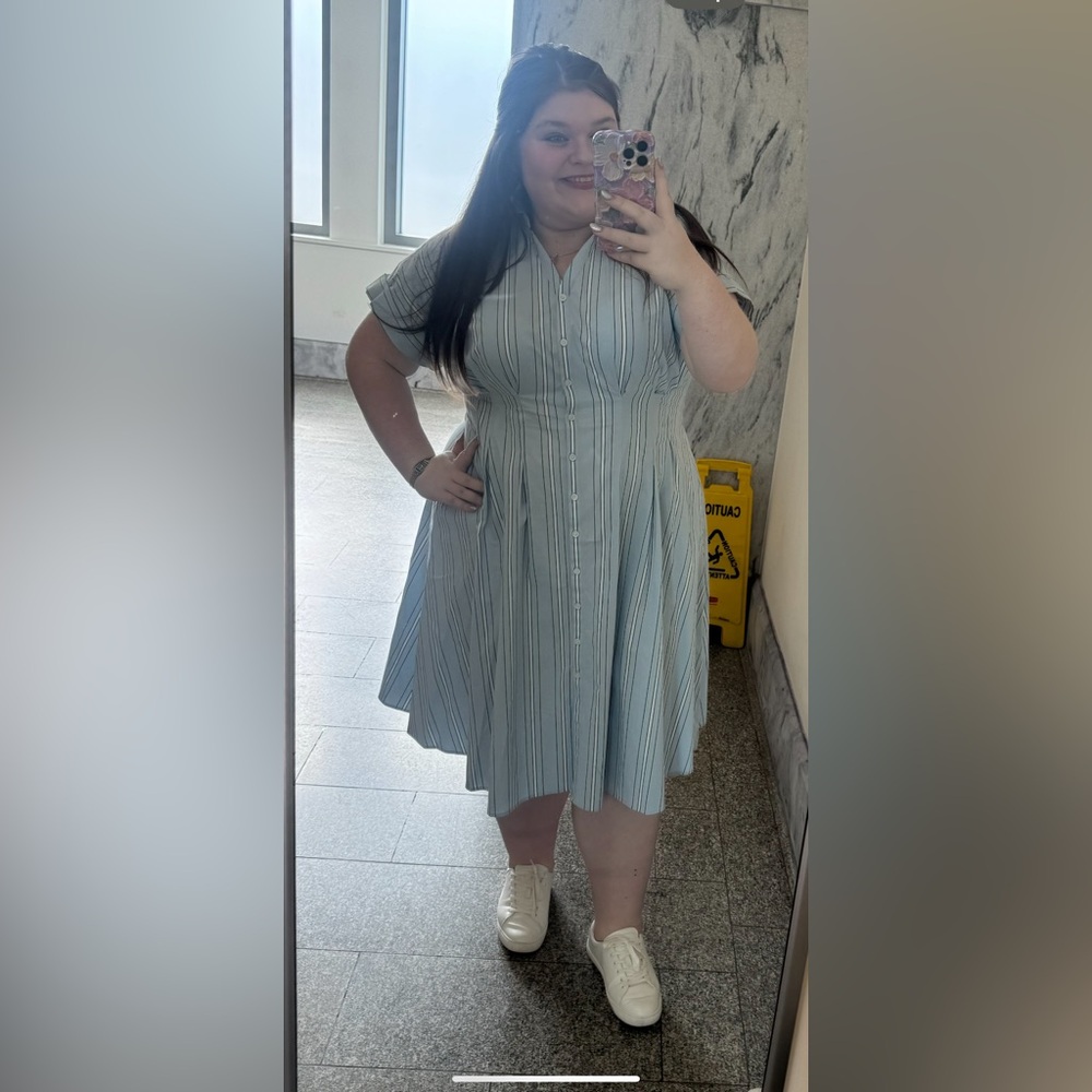 Striped Blue Button-Down Dress